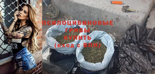 прущие грибы Навашино