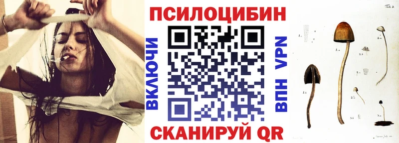 где можно купить наркотик  Красноперекопск  Галлюциногенные грибы GOLDEN TEACHER 